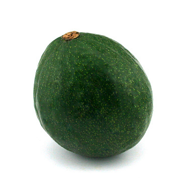 Авокадо Гигант